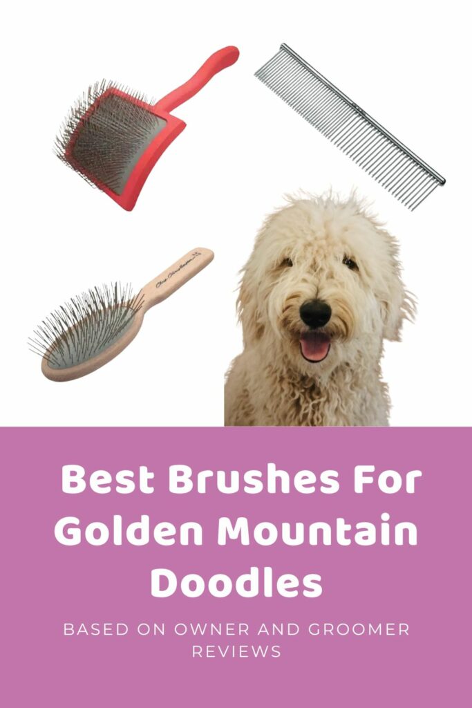 Best Brush For Golden Mountain Doodles