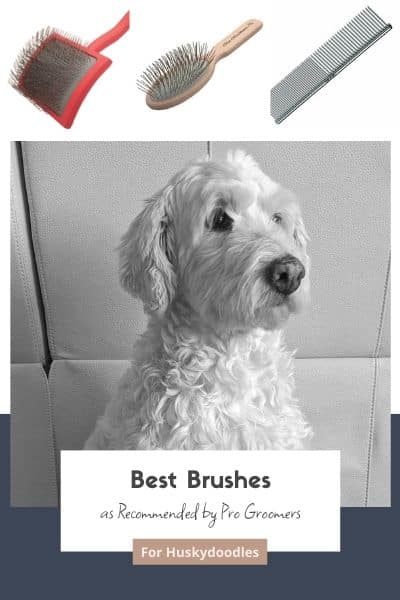 Best Brush For Husky_doodles Recommended By Pro Groomers