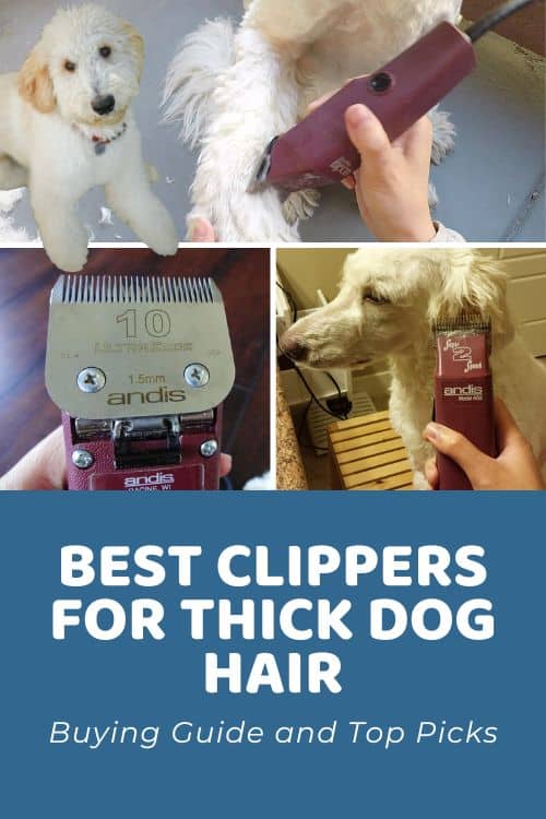 Best Clippers For Thick Hair Top Picks For Dogs With Thick Coats