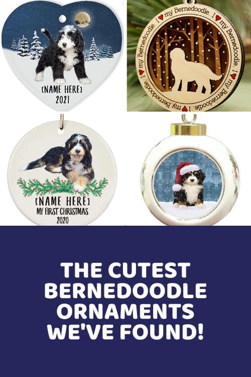 Cutest Bernedoodle Ornament Buying Guide For The Holiday Season