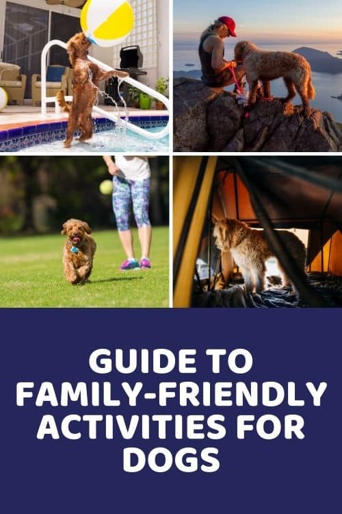 Guide to Family-Friendly Activities for Dogs