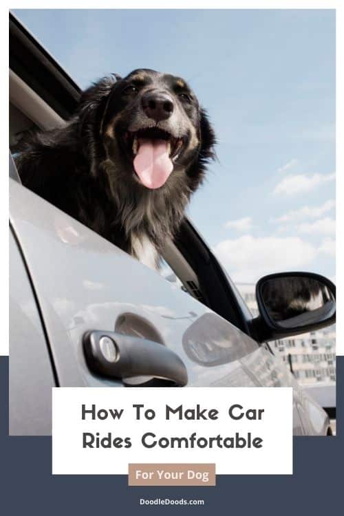 Top Dog Car Toys & How To Make Your Dog Comfortable During Car Rides