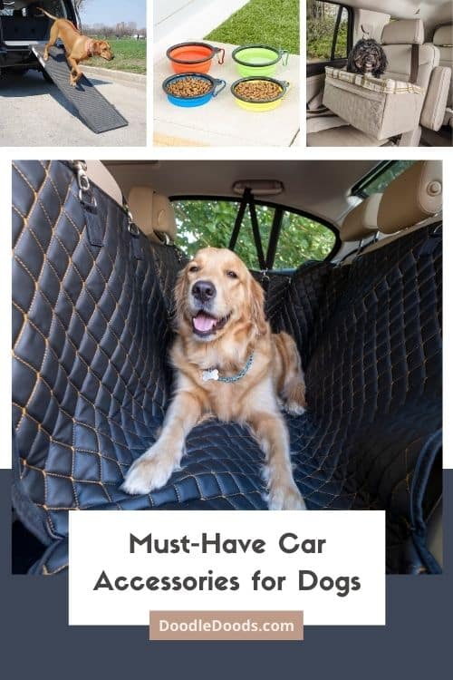 Must-Have Dog Car Accessories For Every Dog Owner