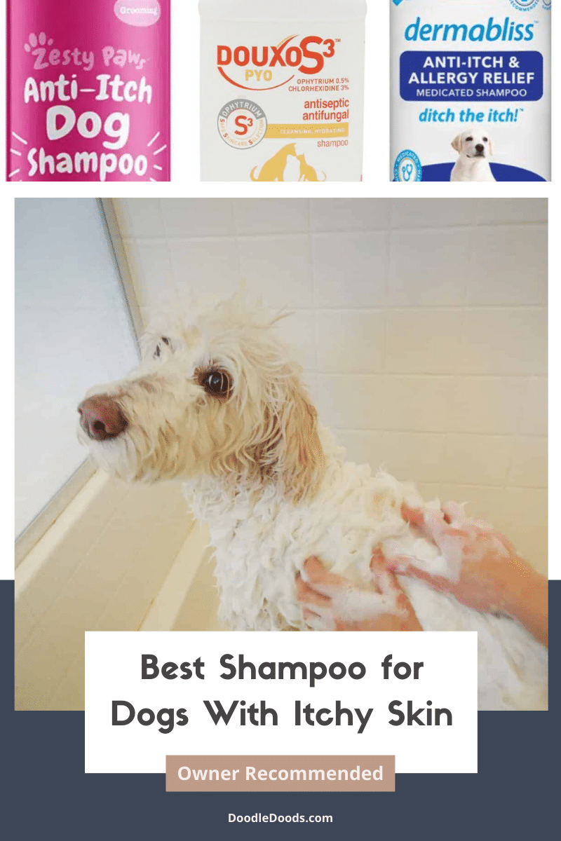 Shampoo for Itchy Skin