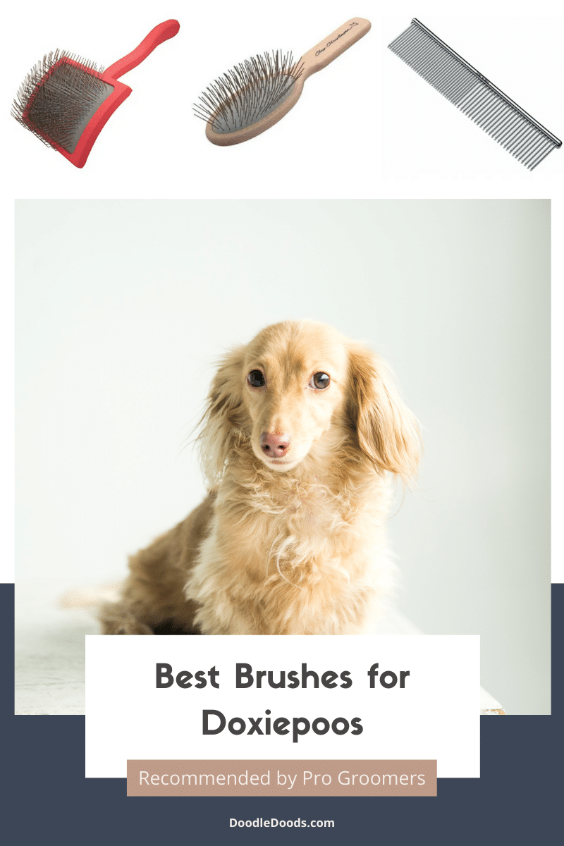 Best Brushes for Doxiepoos