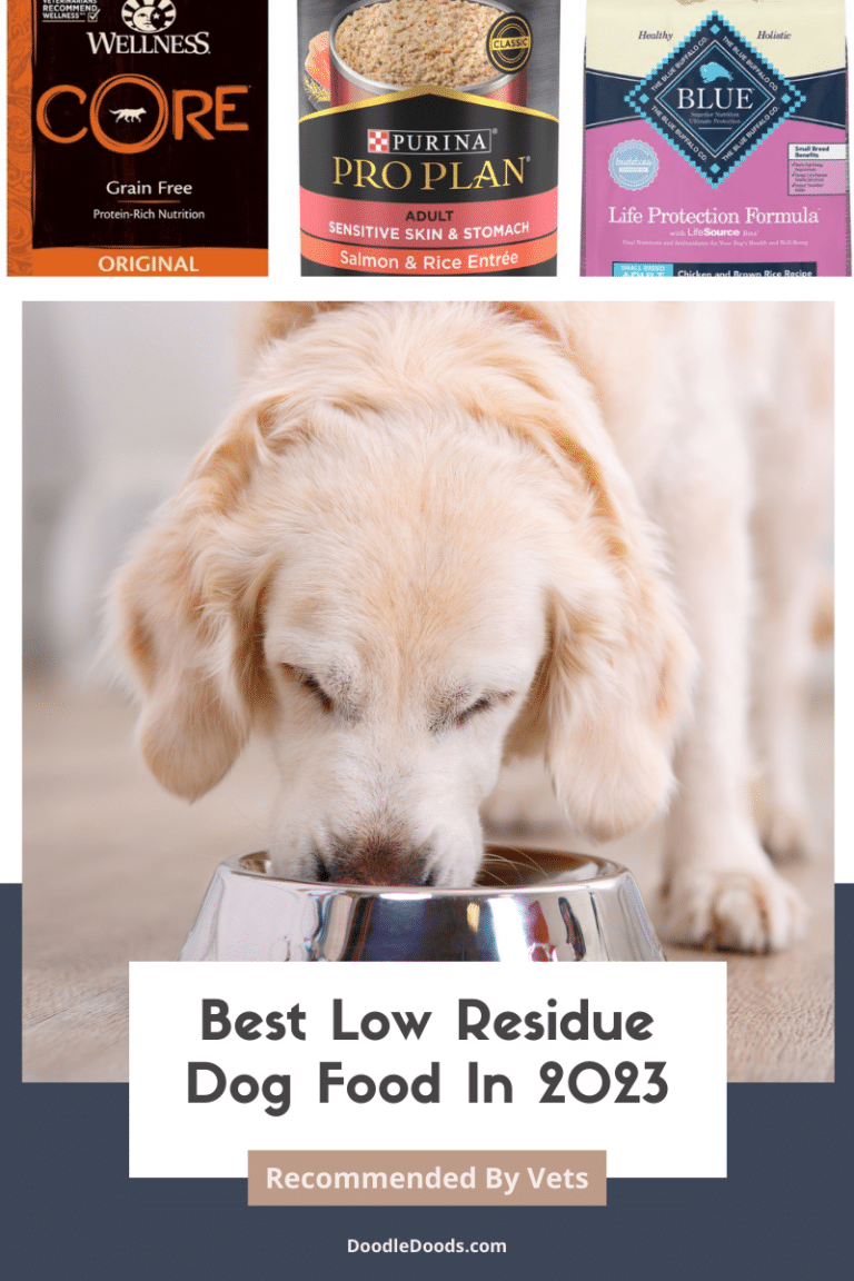 best-low-residue-dog-foods-in-2023-vet-recommended-choices