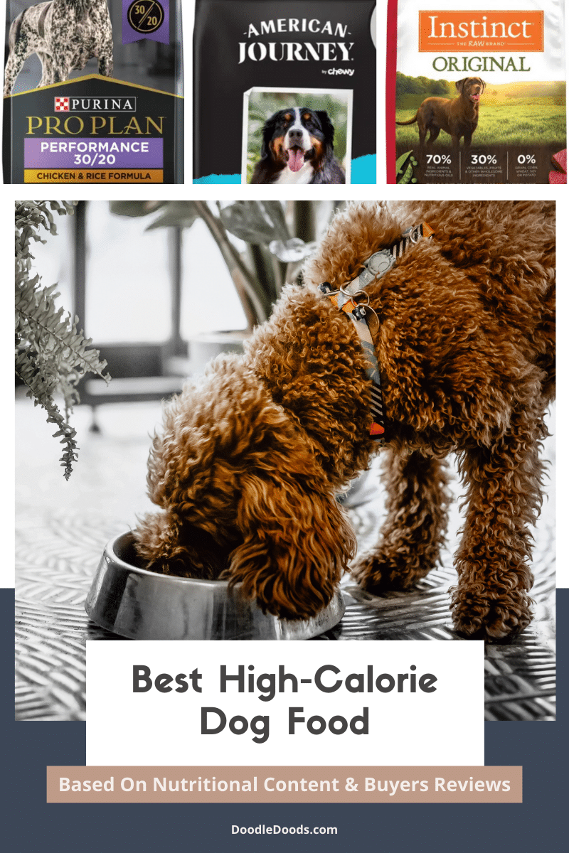 Best High Calorie Dog Food