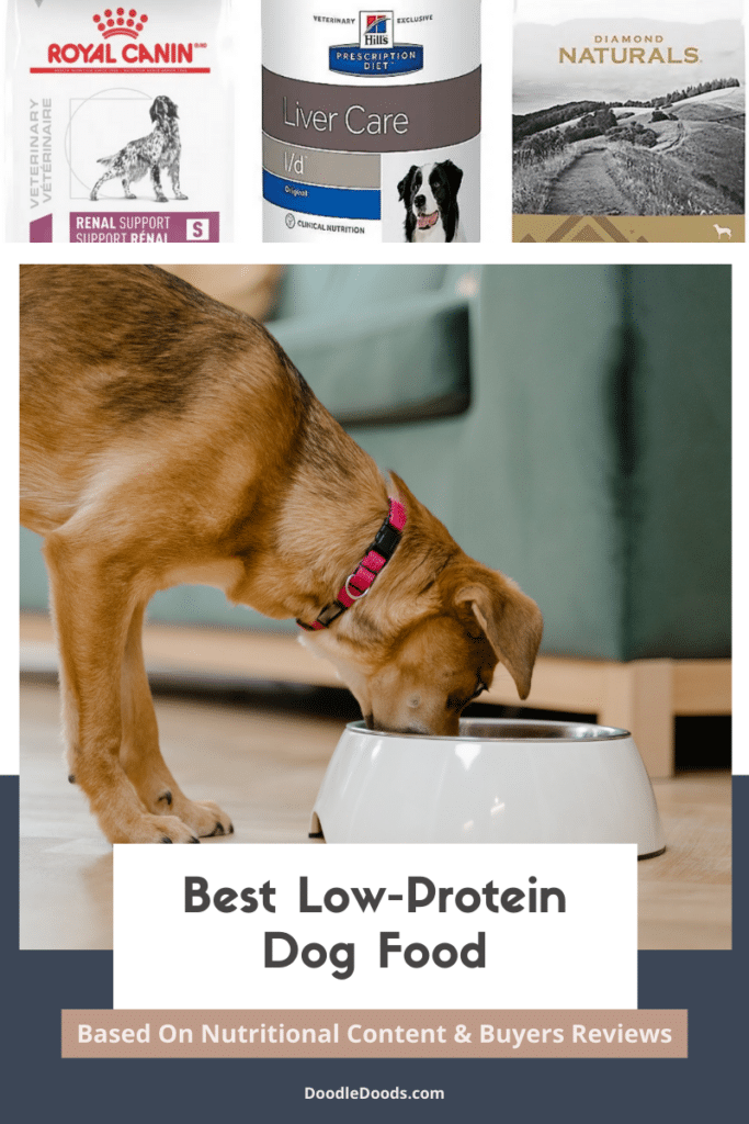 Best Low-Protein Dog Food
