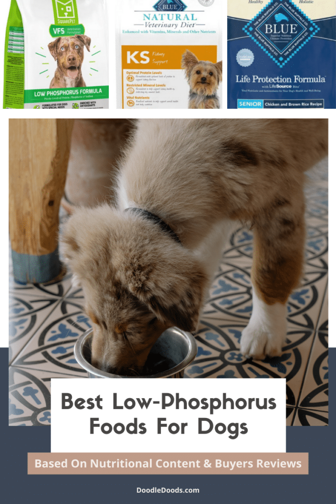 Best Low-Phosphorus Foods