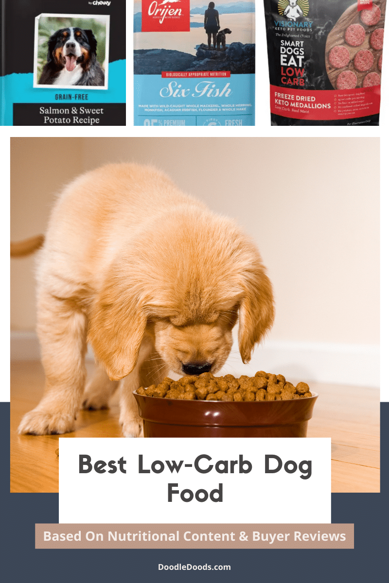 Best Low-Carb Dog Food