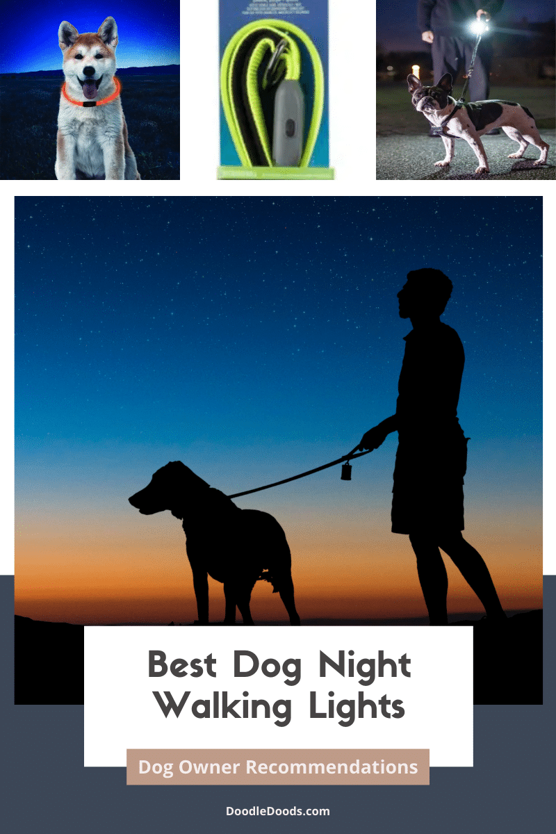 Best Dog Night Walking Lights