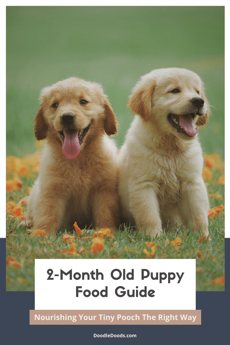 2-Month Puppy Nutrition