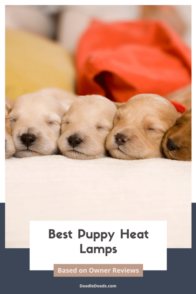 Puppy Heat Lamp