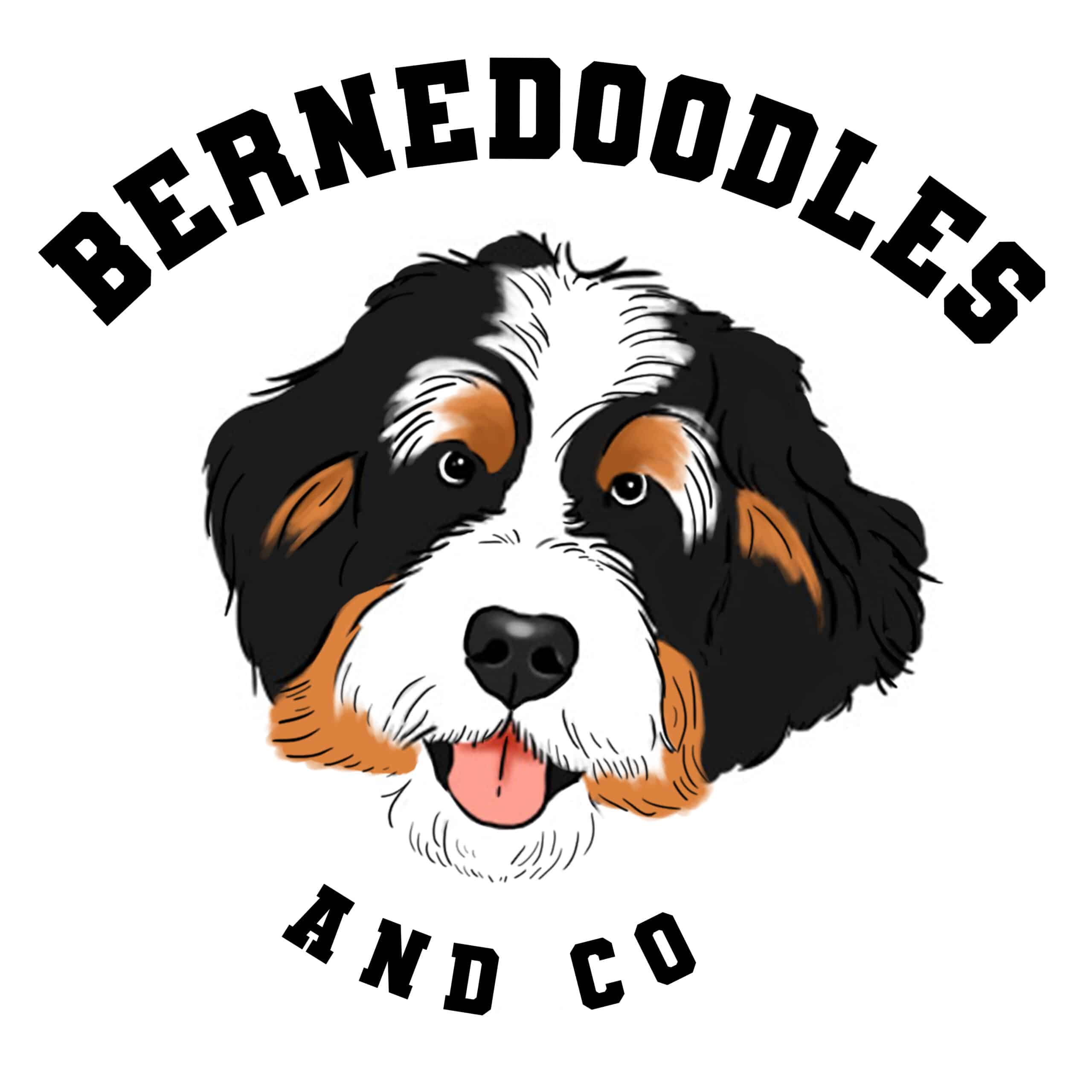 Bernedoodles And Co <li>Bernedoodles</li> puppies for sale near me