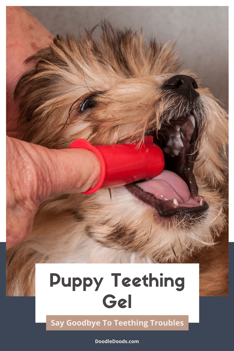 Puppy Teething Gel