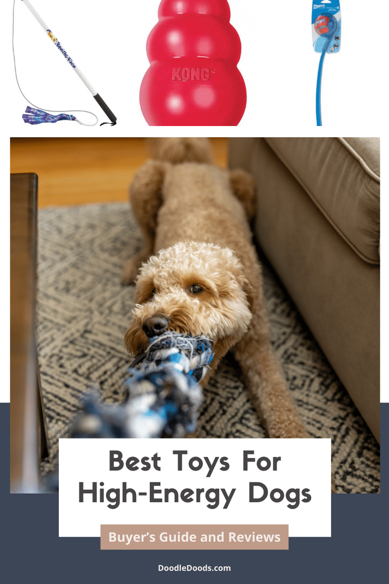 Best Toys for High Energy Dogs