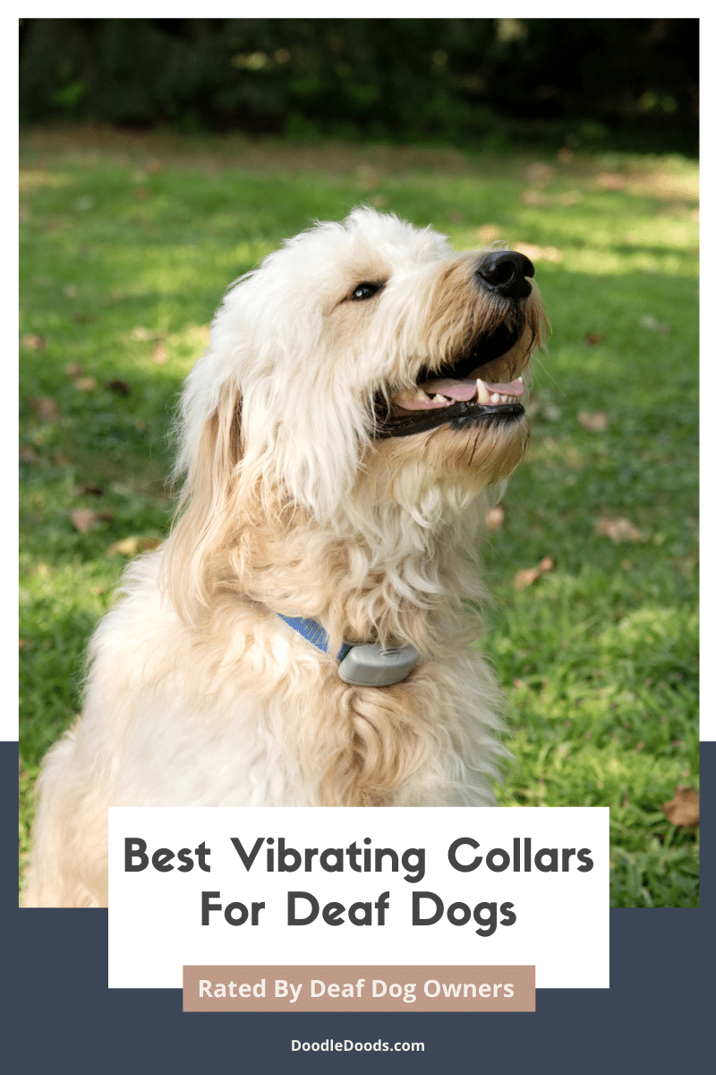 Dog Vibrating Collars