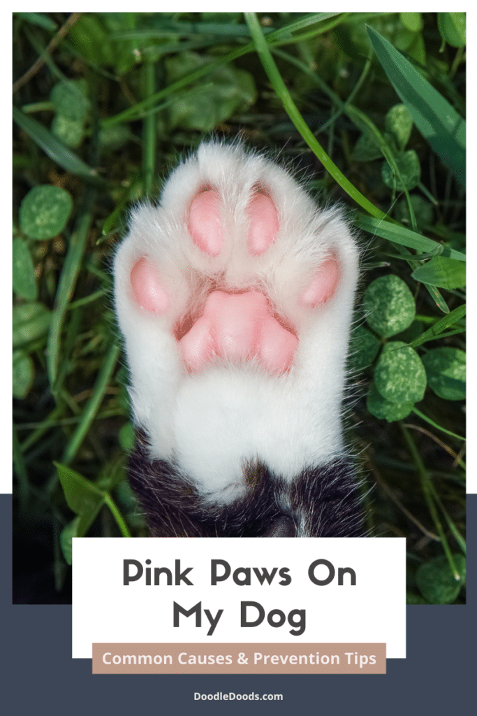 Pink Paw Pads