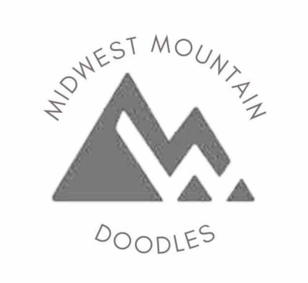 Midwest Mountain Doodles <li>Golden Mountain Doodles</li> puppies for sale near me