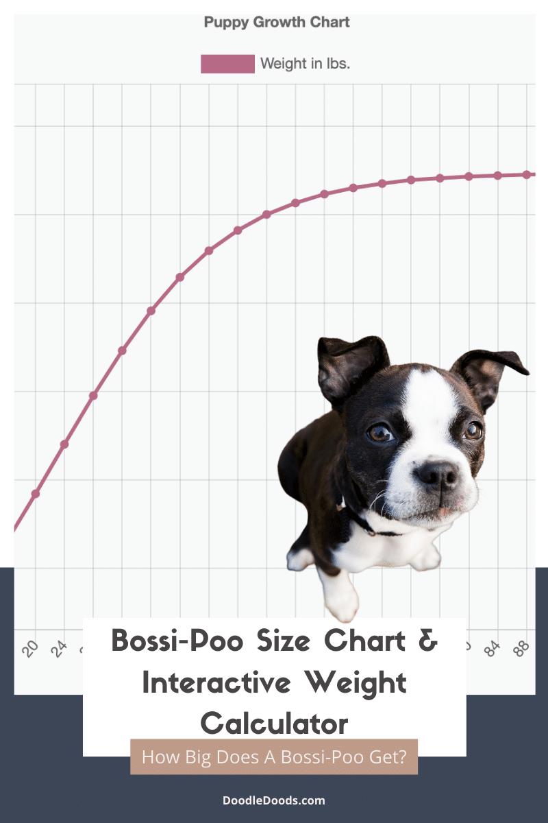 Bossi-Poo Size Chart + Interactive Weight Calculator