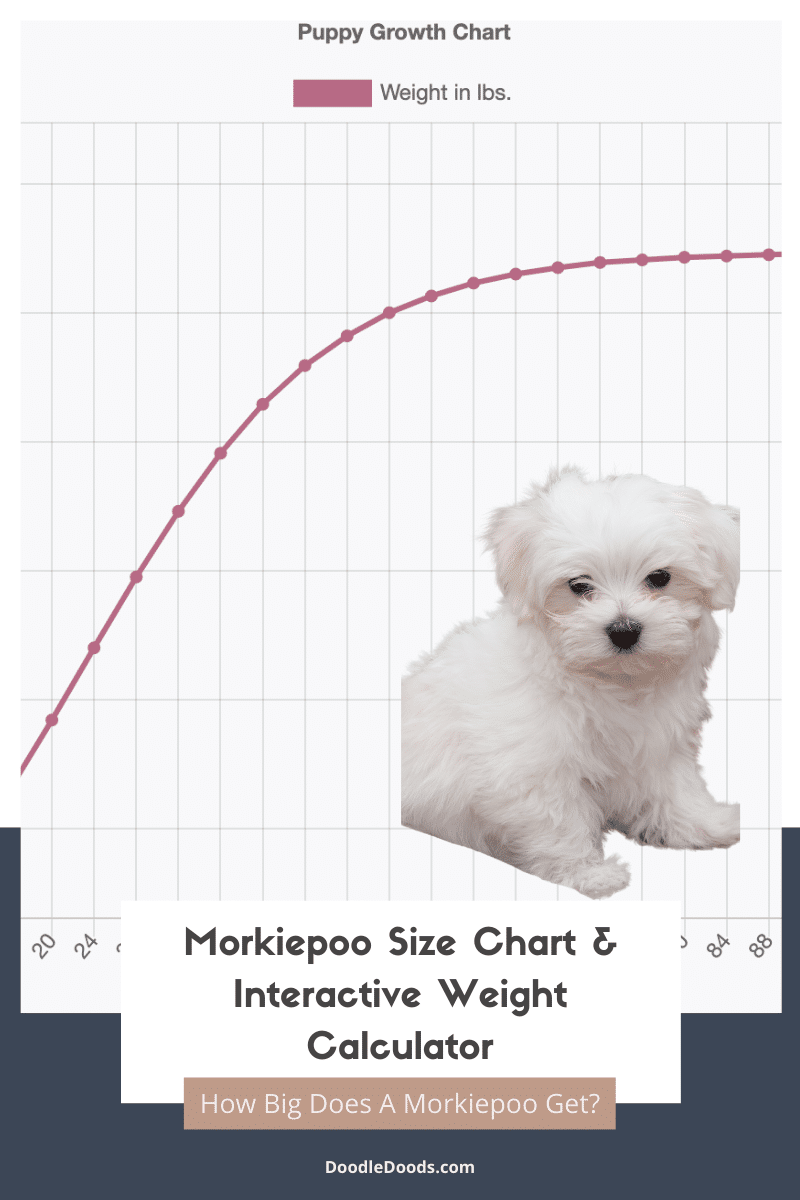 Morkiepoo Size Chart
