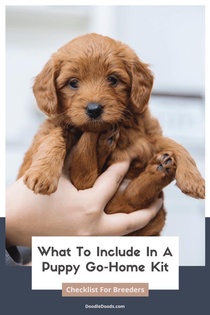 Puppy Go-Home Kit