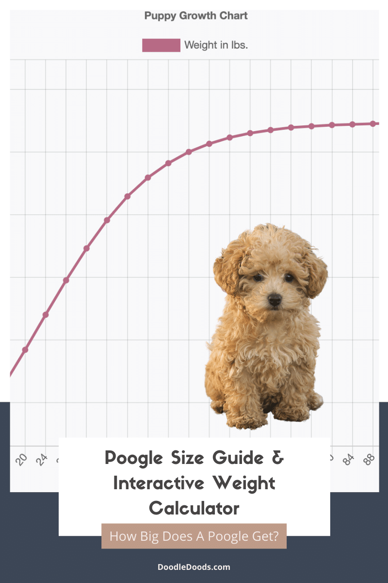 Poogle Size Guide + Interactive Weight Calculator