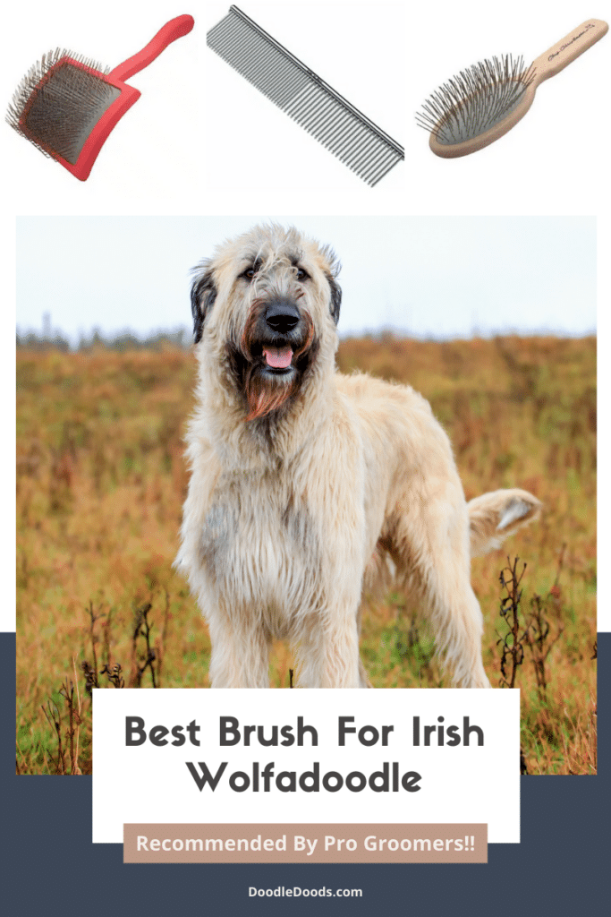 Best Brush For Irish Wolfadoodle