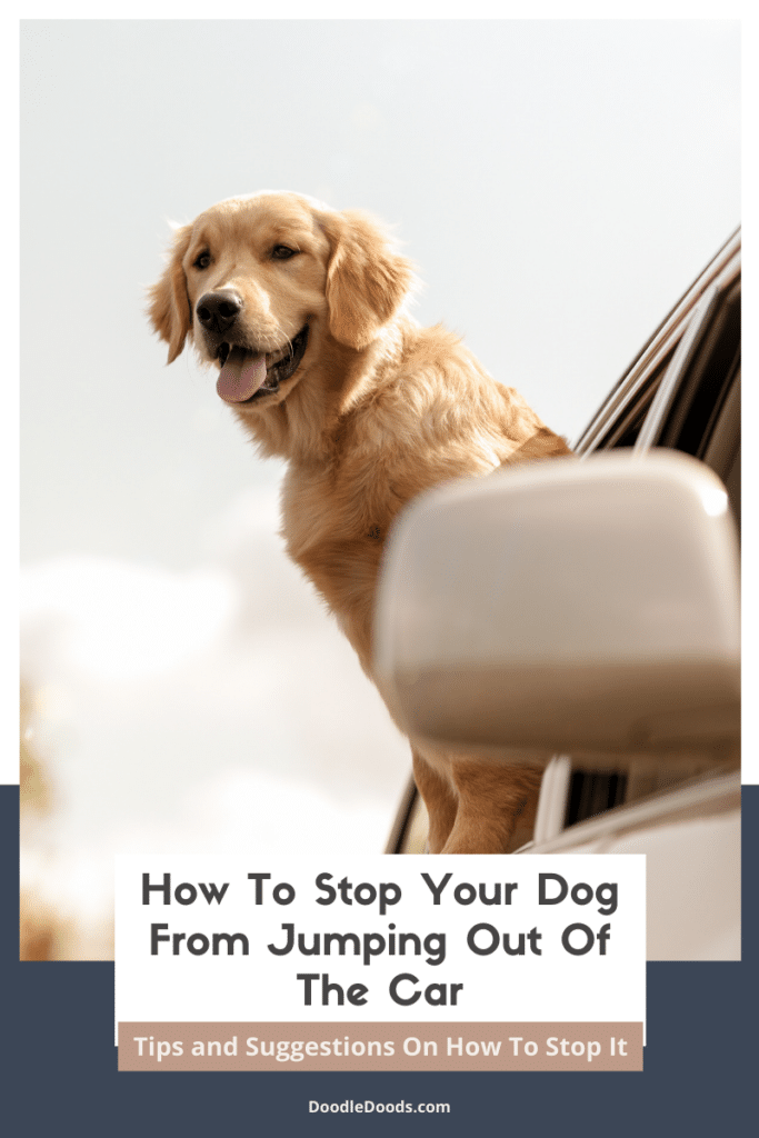 How To Stop A Dog From Jumping Out Of The Car