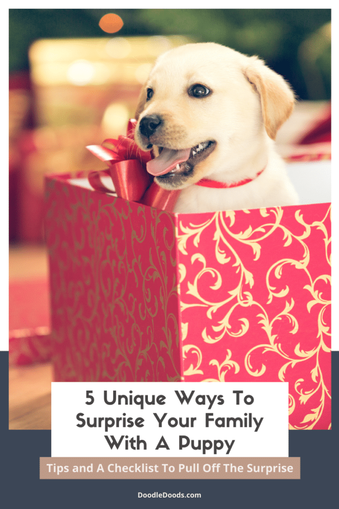 5 Unique Ways To Surprise Your Family With A Puppy