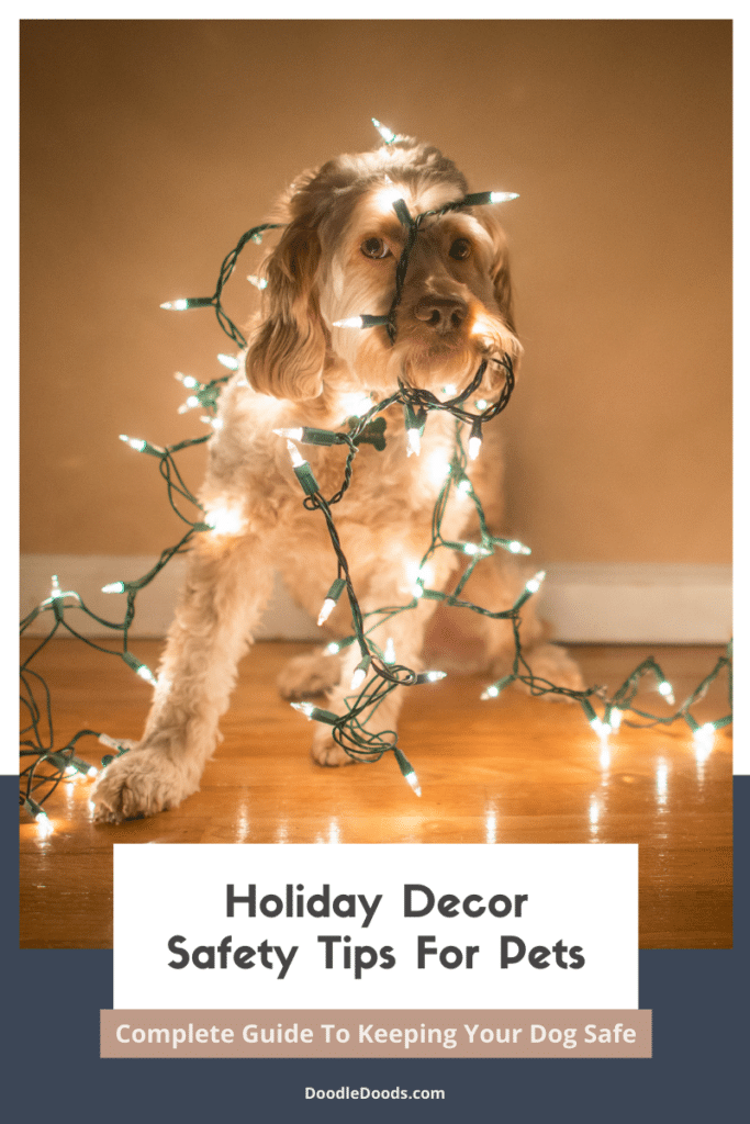 Holiday Decor Safety Tips for Pets
