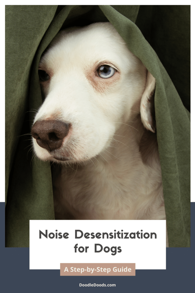 Noise Desensitization for Dogs