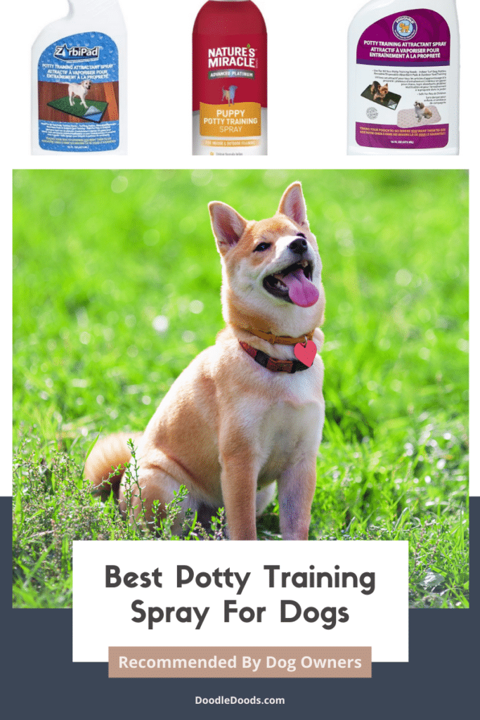 Best Potty Training Spray For Dogs
