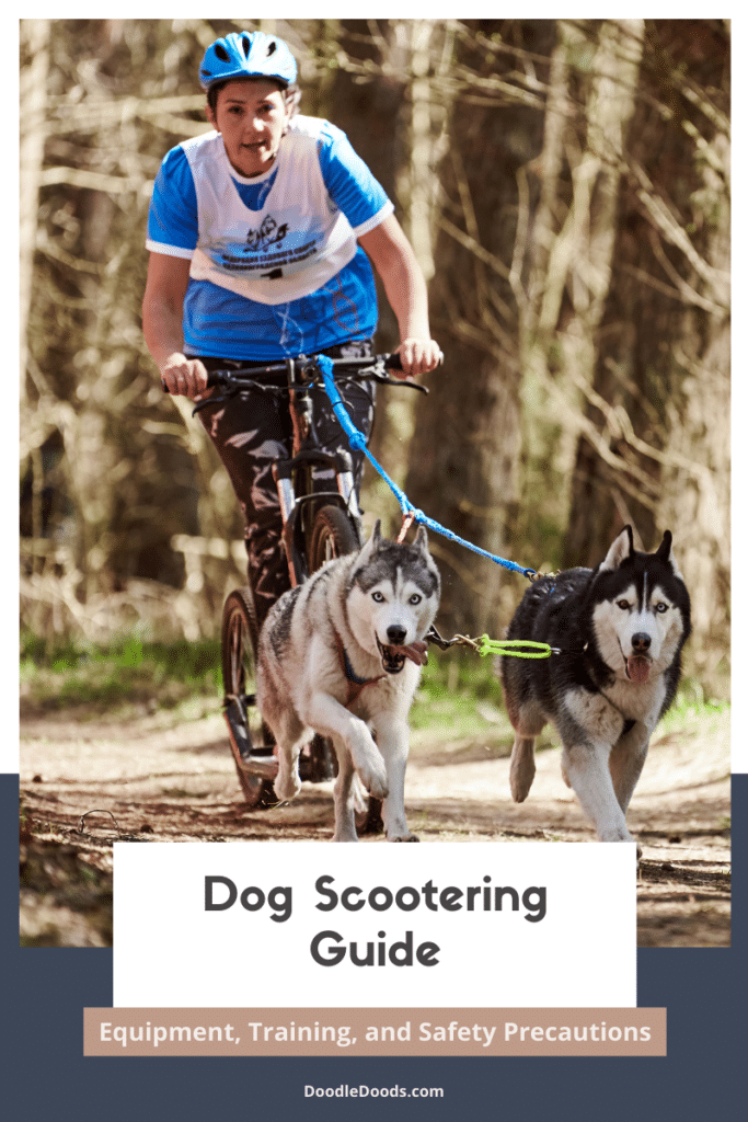 Dog Scootering Guide