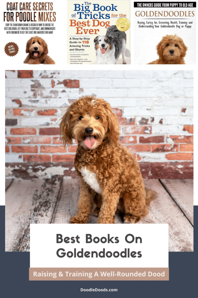 Best Books On Goldendoodles