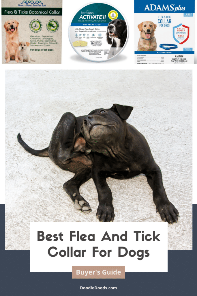 Best Flea & Tick Collar For Dogs