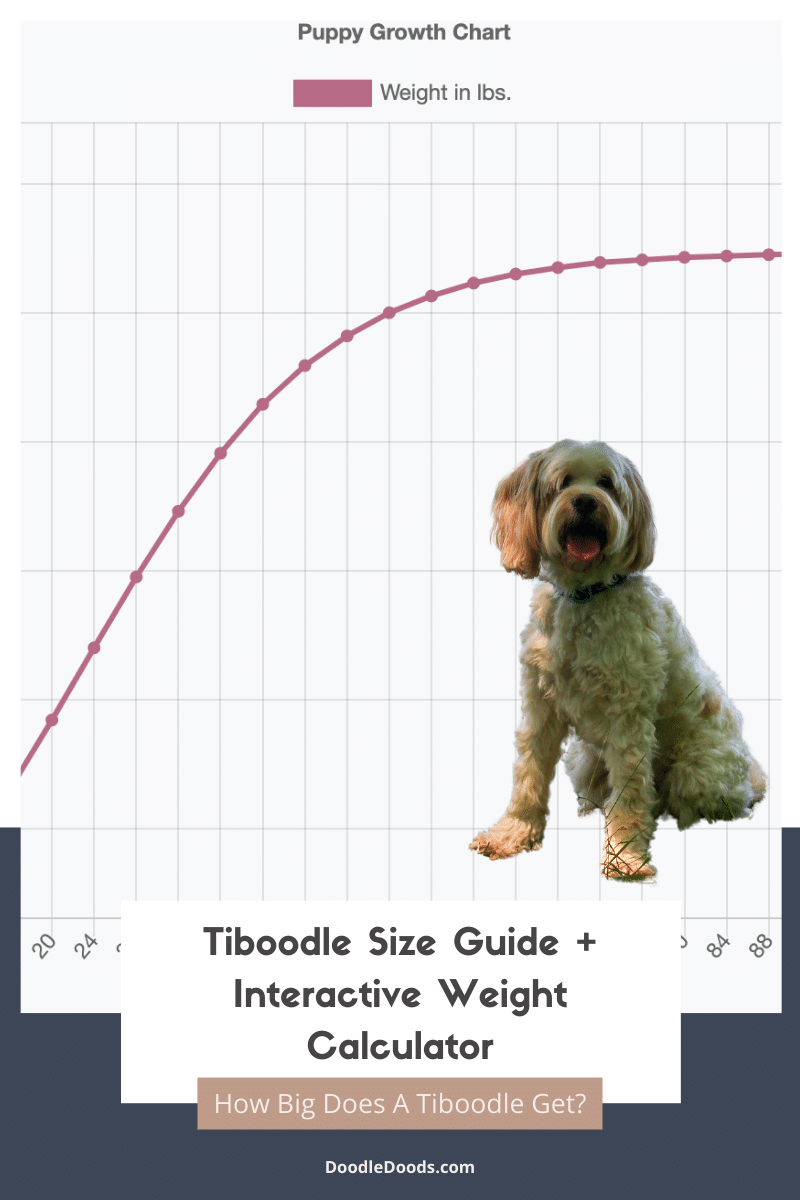 Tiboodle Size Chart