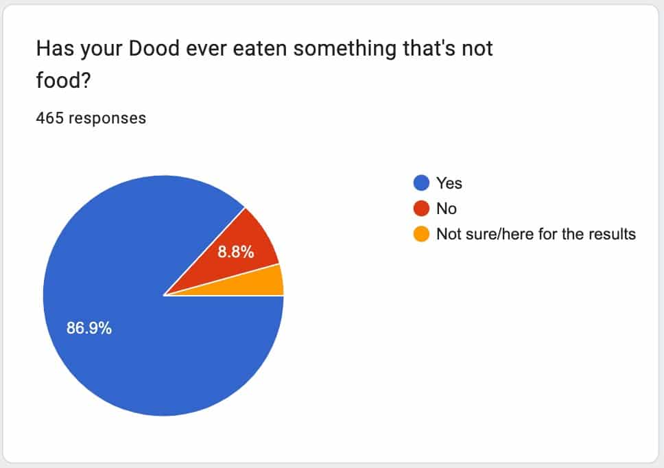 My Dog Eats Everything poll results