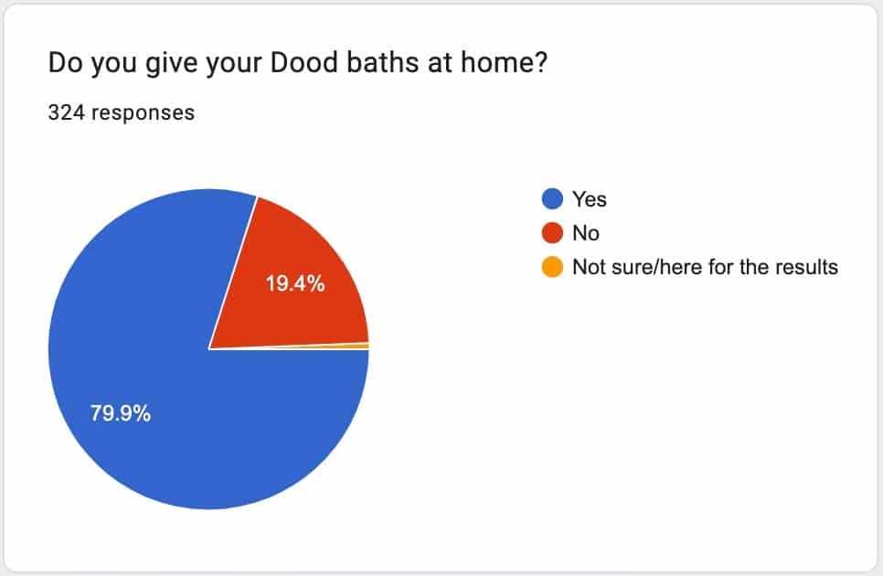 how to bathe a doodle poll results