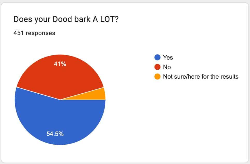 dog barks at everyone poll results
