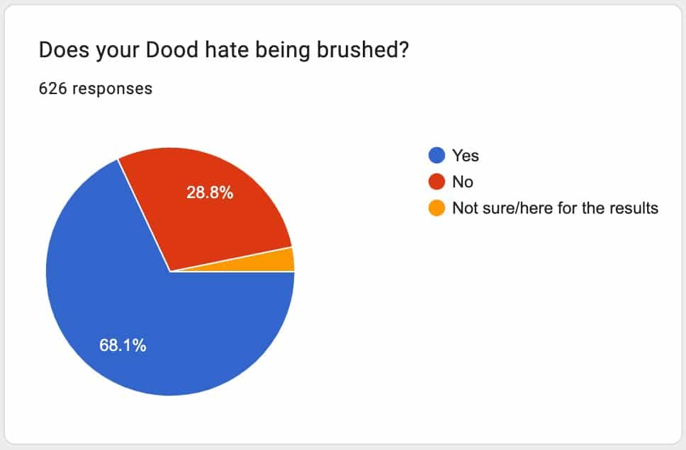 dog hates being brushed poll results