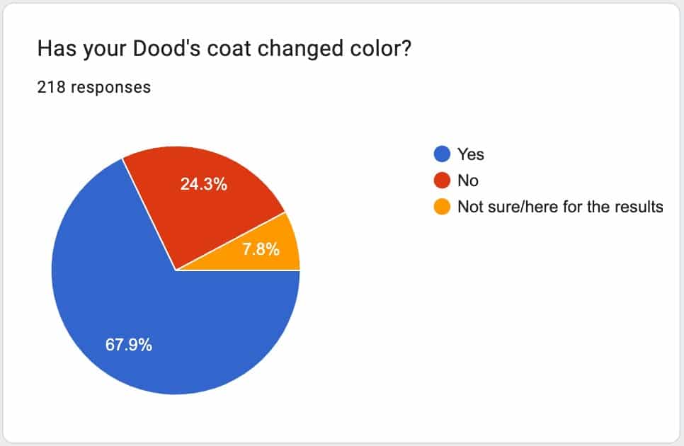 Poodle Fading Gene poll results