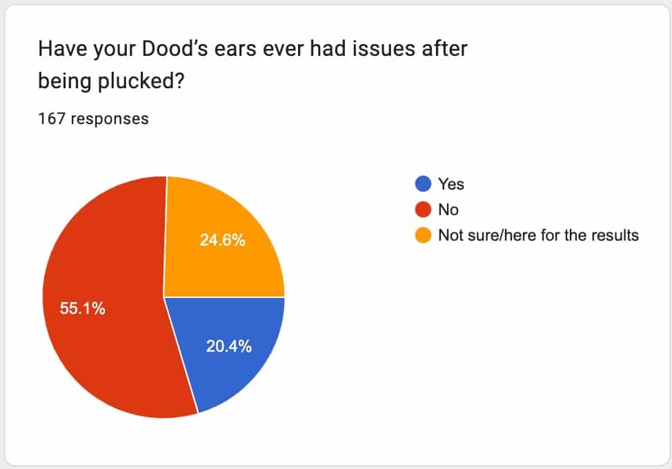 dog ear plucking poll results